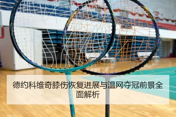 德约科维奇膝伤恢复进展与温网夺冠前景全面解析