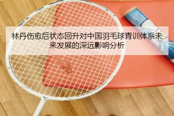 林丹伤愈后状态回升对中国羽毛球青训体系未来发展的深远影响分析